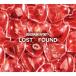 DOBERMAN INFINITY / LOST + FOUND [ первый раз производство ограничение ](+DVD) (CD)