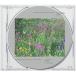 Kazufumi Kodama &amp; Undefined / 2 Years / 2 Years in Silence (CD)