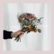 nolala / i my me mine (CD)