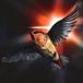  собака gayo/ SALVATION &amp; VOID (CD)