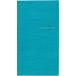  простой блокнот бирюзовый голубой 2024 год 1 месяц начало / женщина .. фирма редактирование часть (книга@)