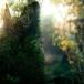MYTH &amp; ROID / MYTH &amp; ROID Concept mini album <Episode 2>[VERDE] записано в Японии (CD)