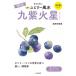  9 звезда другой yumi Lee фэн-шуй 2025 9 фиолетовый Марс / прямой .. прекрасный .naoiyu мм ( библиотека )