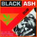 Sly &amp; The Revolutionaries / Black Ash Dub (LP)