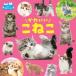  симпатичный ... Nakayoshi фотография .../ Fukuda . документ ( книга с картинками )
