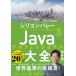 силикон bare- один . программист -. объяснить Java Professional большой все / sake ..(книга@)
