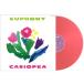 CASIOPEA Casiopea / EUPHONY[ первый раз производство ограничение запись ]( прозрачный * salmon * розовый *vainaru specification / аналог reko-