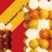  сборник ( компиляция ) / Amusement Vol.10 (CD)