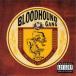 Bloodhound Gang / One Fierce Beer Coaster (SHM-CD) записано в Японии (SHM-CD)
