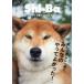 Shi-Ba (si-ba) 2026 год 10 месяц номер / Shi-Ba редактирование часть ( журнал )