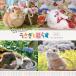 �������ƕ�炷calendar 2027 / �������ƕ�炷�ҏW��  �k�{�l