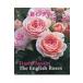  новый крыло lishu rose / David * Austin (книга@)