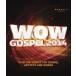  сборник ( компиляция ) / Wow Gospel 2014 (DVD)
