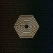 EXO / EXO FROM. EXOPLANET＃1 - THE LOST PLANET IN JAPAN 【初回限定盤】 (2DVD+フォトブック)  〔DVD〕