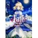 Fate / stay night ��Heaven's Feel�� 2 ���ɥ��拾�ߥå���A������ / ������������  �̥��ߥå���