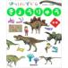 . ................ только .. ....../ подлинный кастрюля подлинный ( иллюстрированная книга )