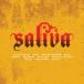 Saliva / Icon зарубежная запись (CD)