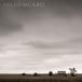Yellowcard желтый карта / Yellowcard записано в Японии (CD)