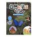  природа ......1 / камень рисовое поле превосходящий блестящий ( полное собрание сочинений *. документ )
