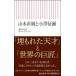  Yamamoto прямой оригинальный . маленький ... утро день новая книга / Shibata ..( новая книга )