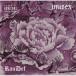 RAU DEFlau диф / UNISEX [ первый раз ограничение запись ](+DVD) (CD)