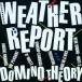 Weather Report ݡ / Domino Theory   CD