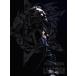 ɹ ҥ祦 / KYOSUKE HIMURO THE COMPLETE FILM OF LAST GIGS (Blu-ray)  BLU-RAY DISC