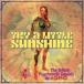 ˥Х(ԥ졼) / Try A Little Sunshine - The British Psychedelic Sounds Of 1969 (3CD) ͢ CD