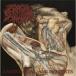 Crash Syndrom / Anatomical Amusements записано в Японии (CD)