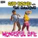 Cliff Richard / Shadows / Wonderful Life ��楸�㥱�åȡ� ������ ��CD��