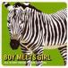  Boy meets девушка / ALL STORY MUSIC(HOME GROWN) (CD)