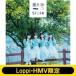 STU48 / LoppiHMV ꥸʥ奫դåȡ Ԥ Type B ס(+DVD)  CD Maxi