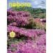  сезон .. ..Vol.24 / запад Япония газета фирма (книга@)