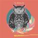 The Winking Owl / Thanks Rav письмо (CD)