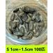 te. Via S размер 1cm~1.5cm[100 шт ] бесплатная доставка ( клик post ). надеты возмещение есть 