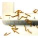 �~�����[�� SS 50�C 0.7-1.2cm�T�C�Y �������� �֘A�摜1