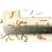 �~�����[�� SSS 50�C 0.4-0.8cm�T�C�Y �������� �֘A�摜1