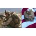  вооруженные силы США оригинал USMC can чай n сумка / багажник yutili tipo -chi61x