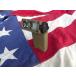 вооруженные силы США оригинал боковой Winder Tacty karu свет мигающий свет 17x