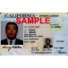 US レプリカ CA DRIVER LICENSE（カリフォルニア州運転免許証）／両面 ／オーダーメイド・ ラミネート付／世界に１つだけ！／送料￥198
