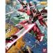 1/100 MG Infinite Justy s Gundam ( Mobile Suit Gundam SEED DESTINY). покупка 