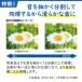 �⒮�� �I���L���[ �����R���t�� OHS-D31 �d�r120�v���[���g �����p ONKYO �y�x �����x��p �����Ȍ^�f�W�^�����⒮�� �֘A�摜3