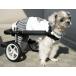  dog for wheelchair baby-walker for small dog custom-made 2 wheel interior walking assistance . dog assistance motion li is bili...... nursing 