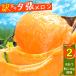 2024 year reservation Hokkaido production melon free shipping . home for limitation with translation piece ... melon (2 sphere ) total . approximately 2.6kg rom and rear (before and after) /.. production red meat melon piece . goods home for [wakem]