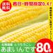 [2024 year reservation ] corn free shipping Hokkaido production ..... 80 pcs insertion . south canopy block Bright Farming Village network / maize .. yellow group 