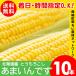 [2024 year reservation ] corn free shipping Hokkaido production ..... 10 pcs insertion . south canopy block Bright Farming Village network 2 set buy .5ps.@ extra!
