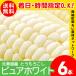 [2024 year reservation ] corn free shipping Hokkaido production pure white 6 pcs insertion south canopy block Bright Farming Village network / maize white white series white 