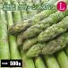 [2026 год .. предварительный заказ ] Hokkaido производство зеленый спаржа L размер 500g Hokkaido спаржа прямая поставка от производителя производство прямой весна . Hokkaido aspala. земля 