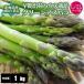 [2026 год .. предварительный заказ ]... зеленый спаржа L/2L.1kg house культивирование прямая поставка от производителя производство прямой весна . Hokkaido aspala спаржа 