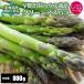 [2026 год .. предварительный заказ ]... зеленый спаржа L/2L.800g house культивирование прямая поставка от производителя производство прямой весна . Hokkaido aspala спаржа 